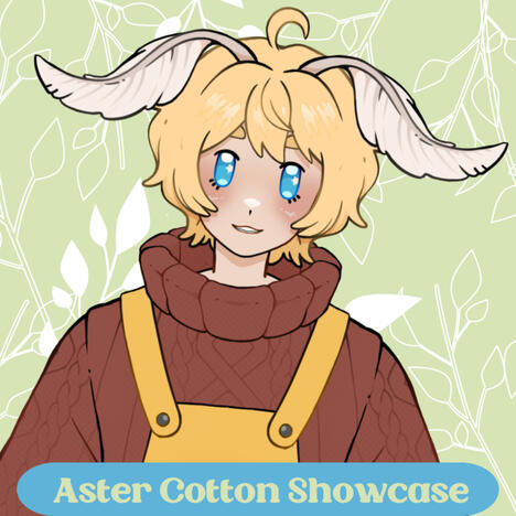 Aster Cotton